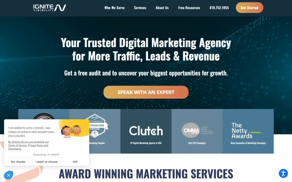Ignite Visibility homepage screenshot — Digital performance marketing (automotive service and aftermarket)