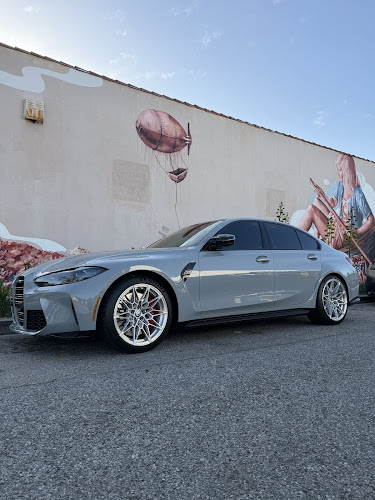 Palms Mobile Detailing Co Palms Mobile Detailing Co