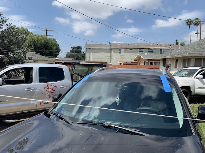 Ricardo Auto Glass