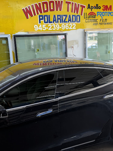 WINDOW TINT POLARIZADOS HARRY HINES. WINDOW TINT POLARIZADOS HARRY HINES.