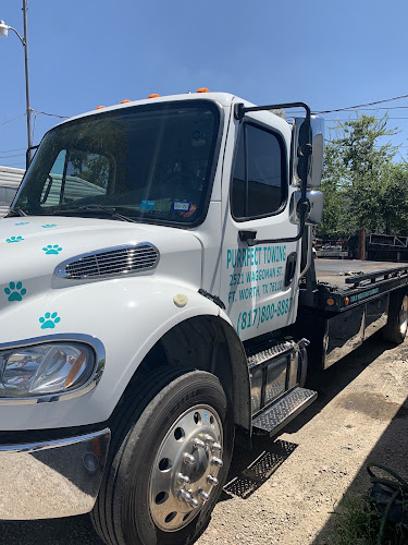 Purrfect Towing