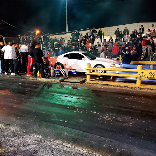Yello Belly Drag Strip