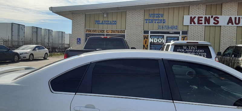 window Tint Amadeus