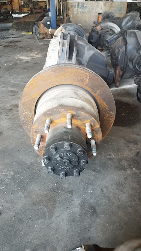Differential & Gear of Fort Worth