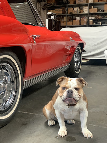 American Motoring Memories