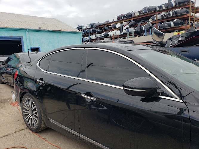 Window Tint Polarizado