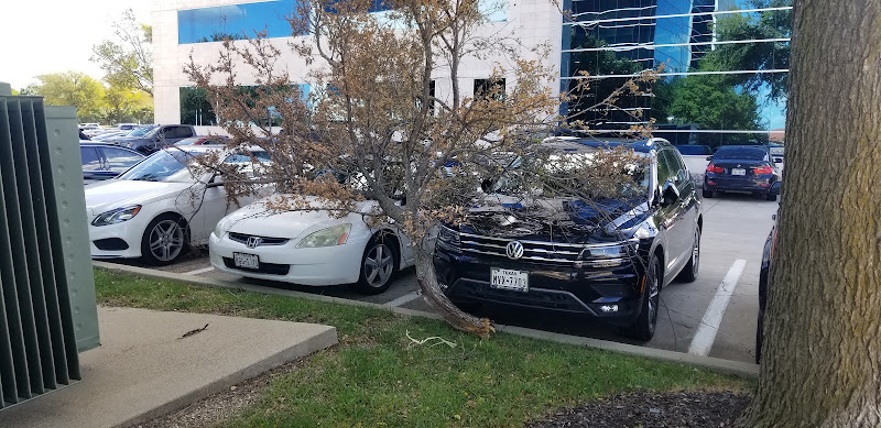META COLLISION