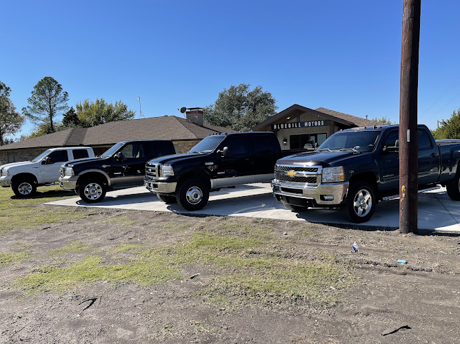 Bluegill Motors