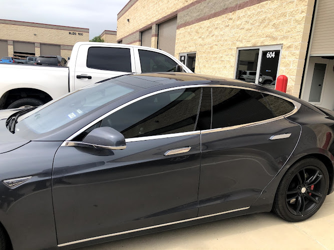 Synergy Tint