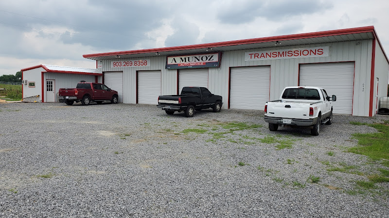 A Munoz Transmissions and Auto Service LLC
