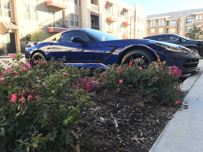 Texas Auto Spa
