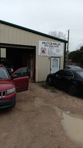 Autohaus Mechanic Fleet