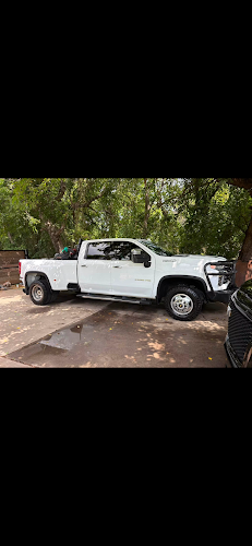 Platinum Mobile Car Detailing of Richardson