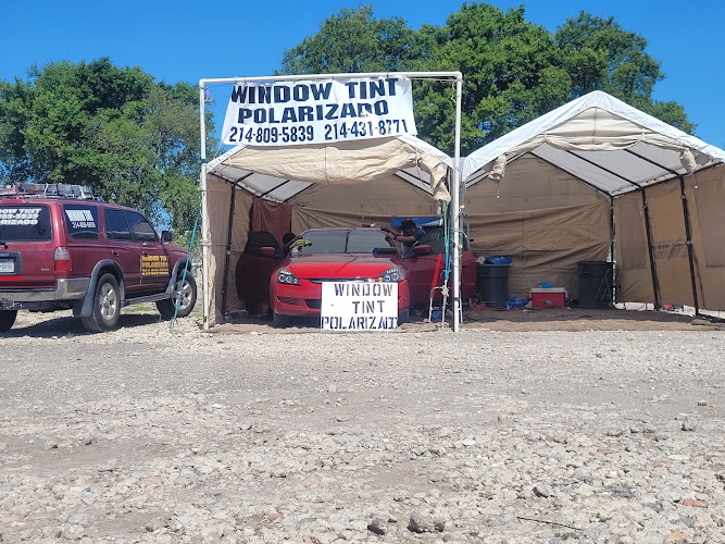 Window Tint Polarizado