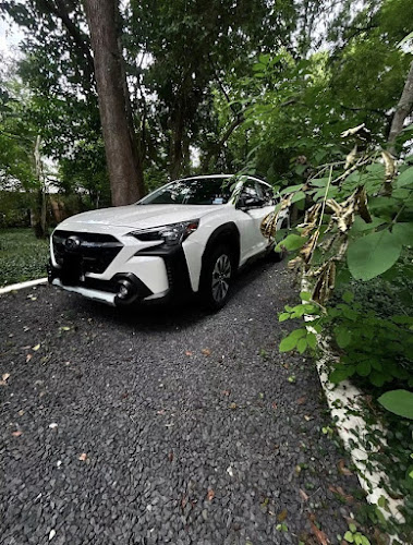 Platinum Mobile Car Detailing of South lake