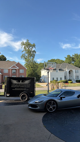 Blackbird Mobile Detailing