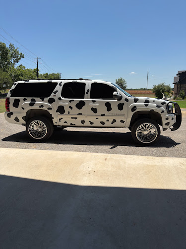 Wild West Tint