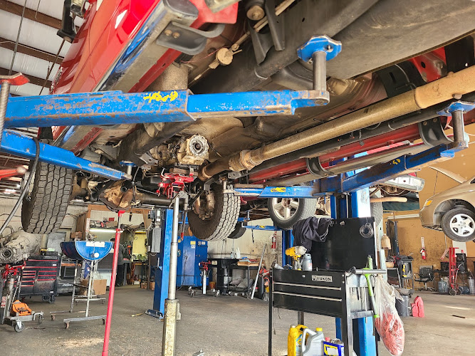 Chihuahua Transmission