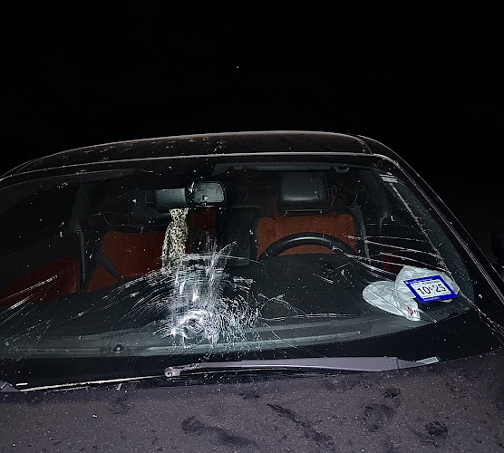 Top Notch Auto Glass LLC
