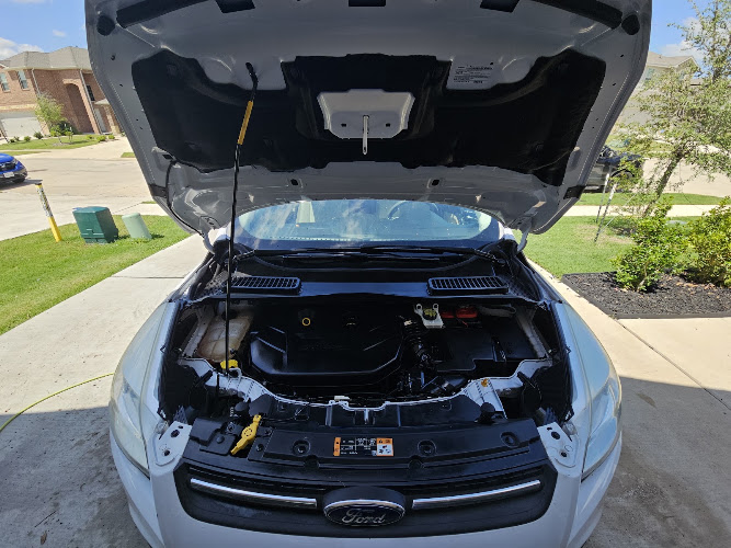 Before Nafter Auto Detail