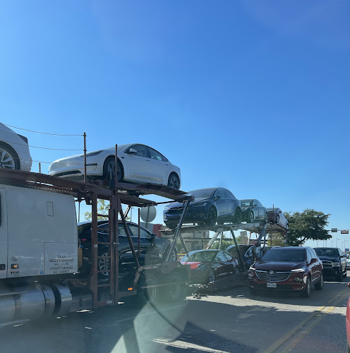 Tesla Collision Dallas
