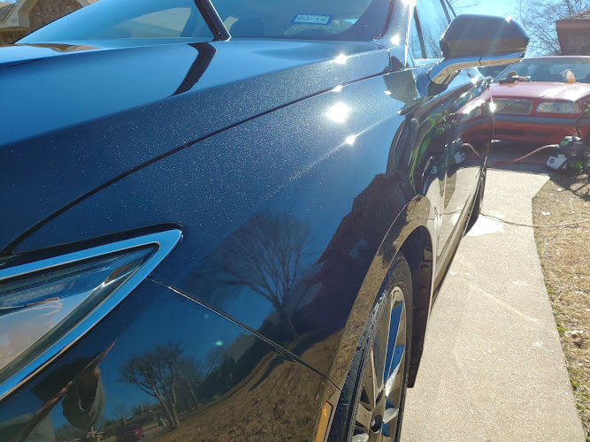 IWillDetail