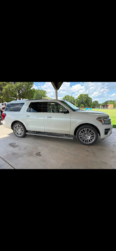 Platinum Mobile Car Detailing of Desoto