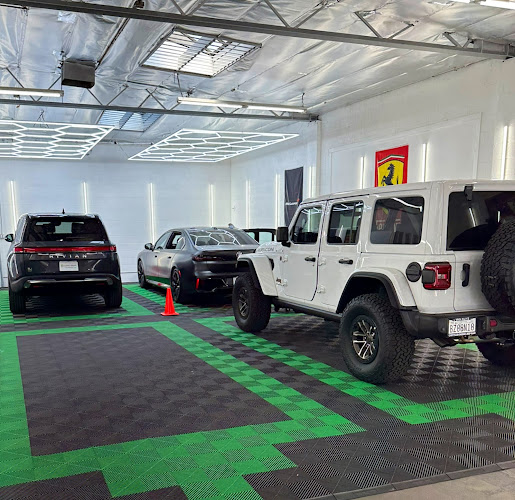 Carpo Wraps / PPF & Tint