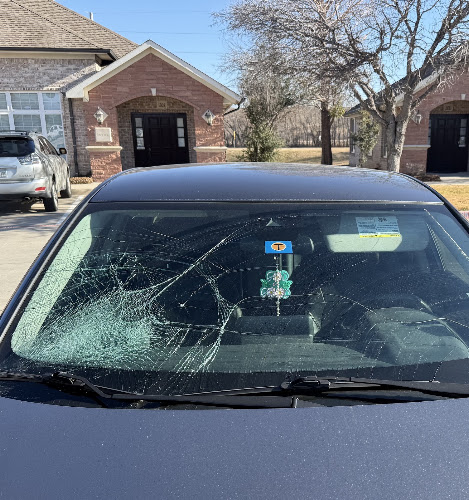 Glass guardians auto glass