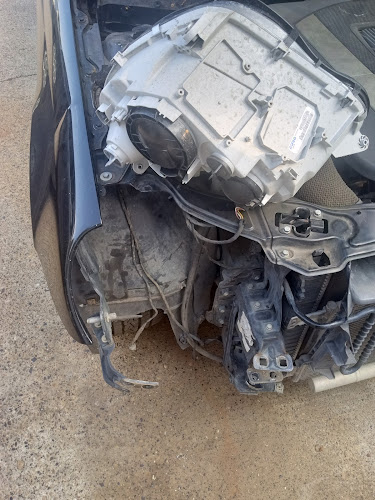 Dubbonics Total Auto care