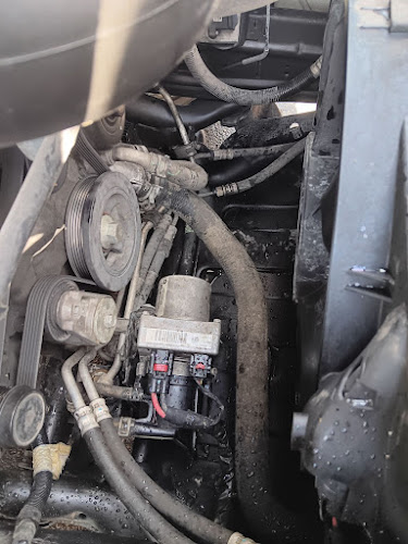Alpha & Omega Automotive