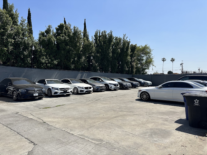 PLANET CAR SALES INC