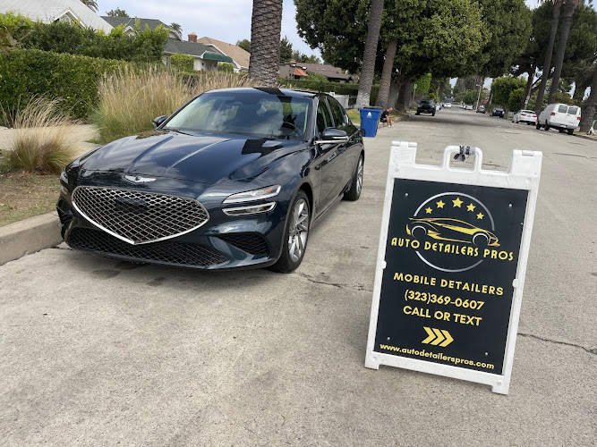 Auto Detailers Pros