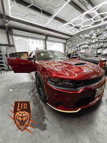 Leo Car Audio Tint 2