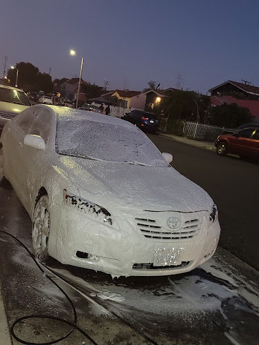 Aline Auto Detailing Mobile